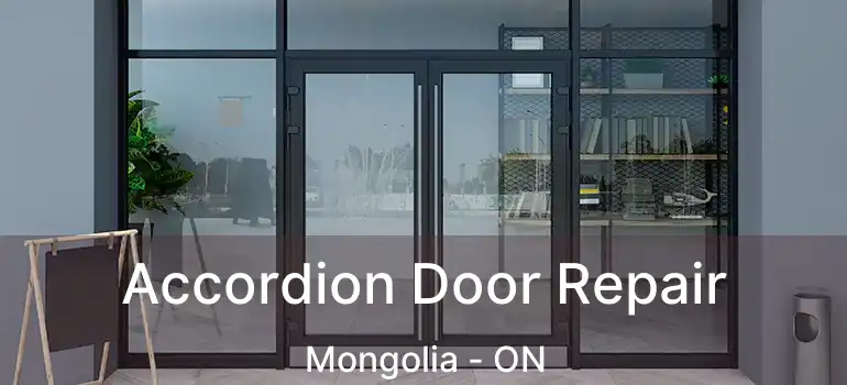  Accordion Door Repair Mongolia - ON
