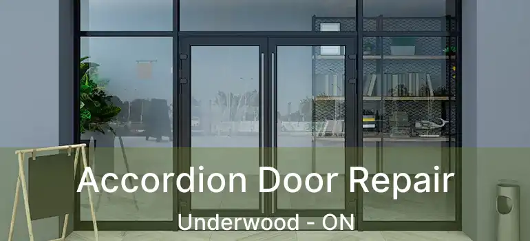  Accordion Door Repair Underwood - ON