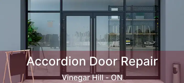  Accordion Door Repair Vinegar Hill - ON