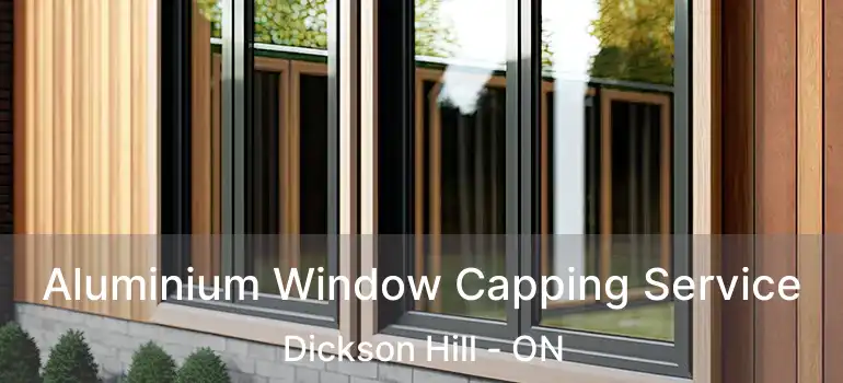  Aluminium Window Capping Service Dickson Hill - ON