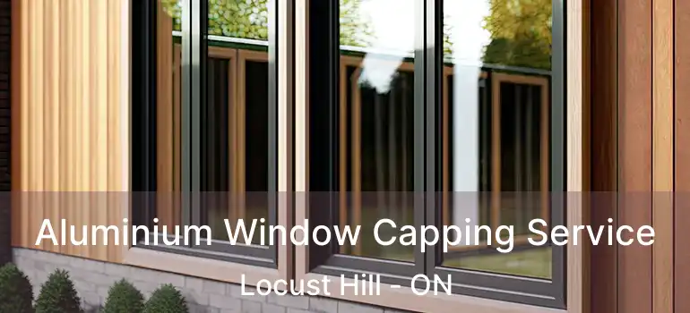  Aluminium Window Capping Service Locust Hill - ON