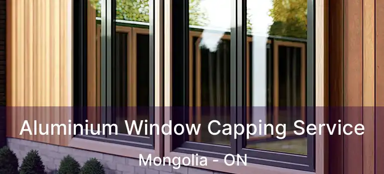  Aluminium Window Capping Service Mongolia - ON