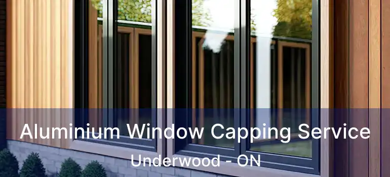  Aluminium Window Capping Service Underwood - ON