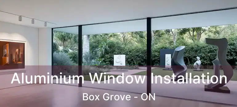  Aluminium Window Installation Box Grove - ON