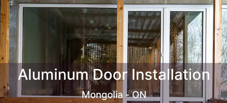  Aluminum Door Installation Mongolia - ON