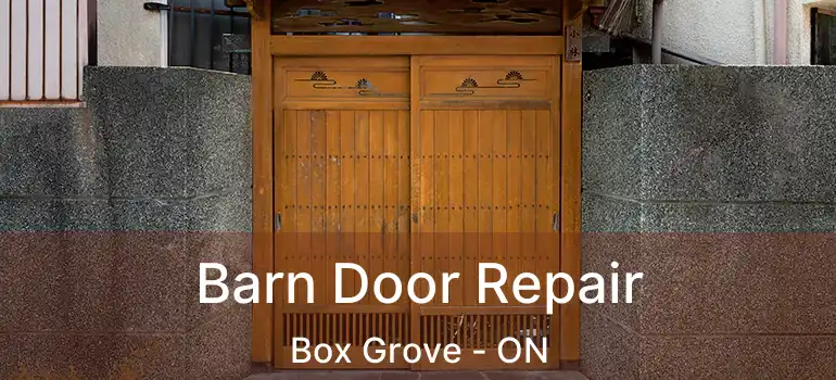  Barn Door Repair Box Grove - ON