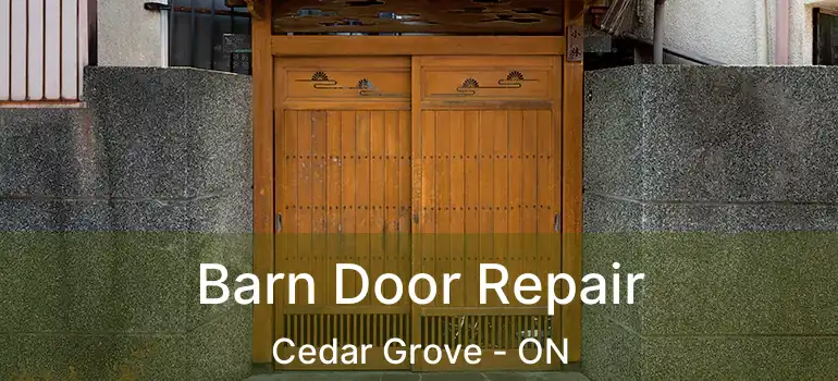  Barn Door Repair Cedar Grove - ON
