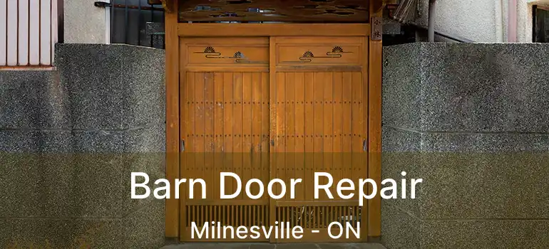  Barn Door Repair Milnesville - ON