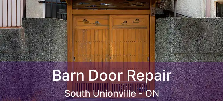 Barn Door Repair South Unionville - ON