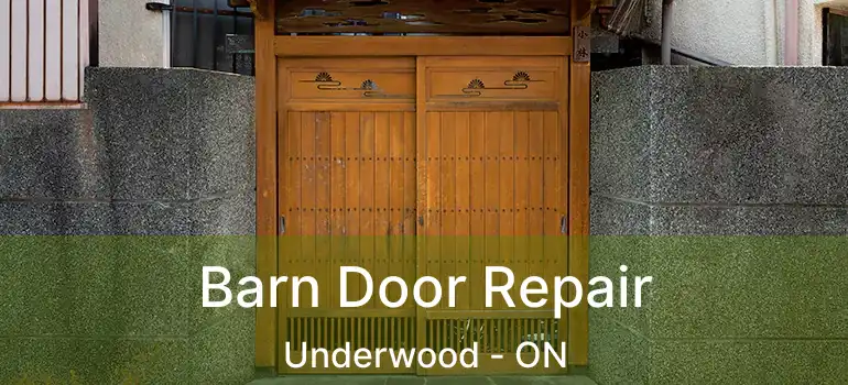  Barn Door Repair Underwood - ON