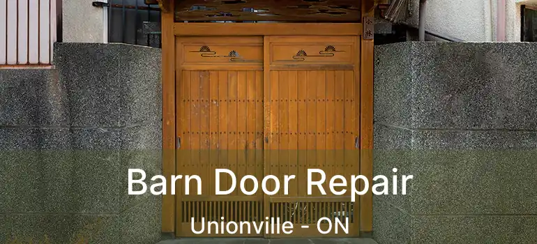  Barn Door Repair Unionville - ON