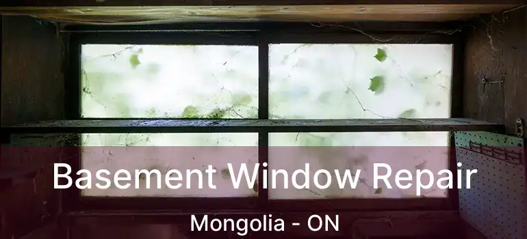  Basement Window Repair Mongolia - ON