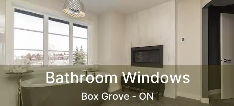  Bathroom Windows Box Grove - ON