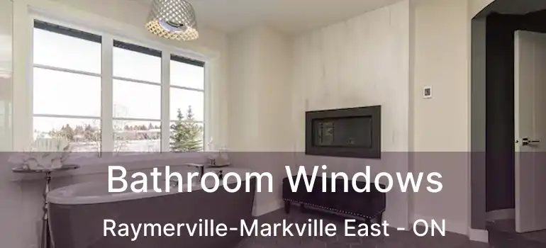  Bathroom Windows Raymerville-Markville East - ON