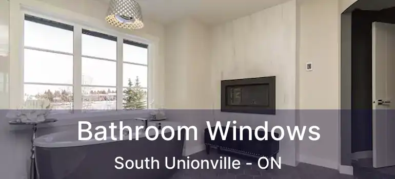  Bathroom Windows South Unionville - ON