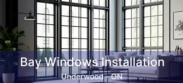  Bay Windows Installation Underwood - ON