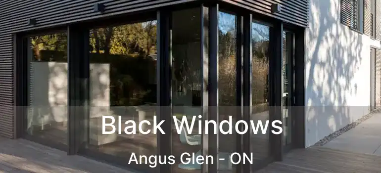  Black Windows Angus Glen - ON
