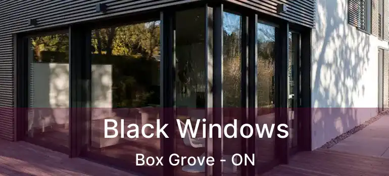  Black Windows Box Grove - ON