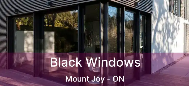  Black Windows Mount Joy - ON