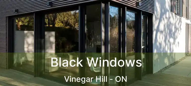  Black Windows Vinegar Hill - ON