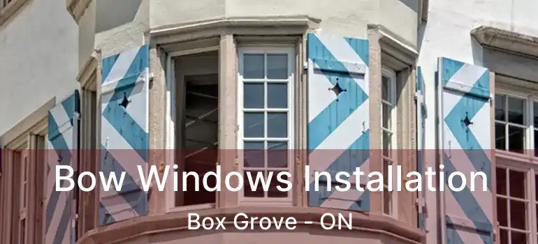  Bow Windows Installation Box Grove - ON