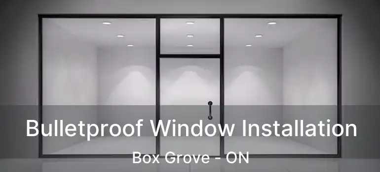  Bulletproof Window Installation Box Grove - ON