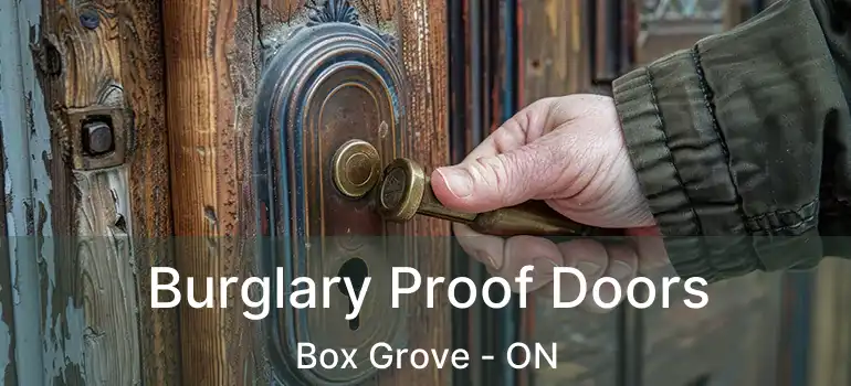  Burglary Proof Doors Box Grove - ON