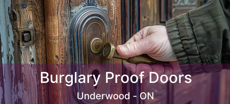  Burglary Proof Doors Underwood - ON