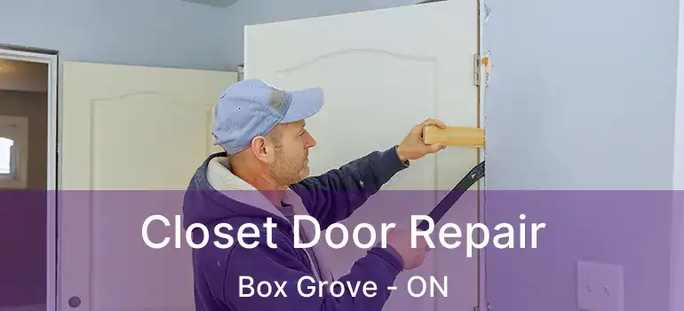  Closet Door Repair Box Grove - ON
