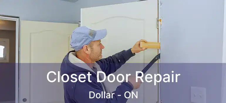  Closet Door Repair Dollar - ON