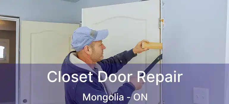  Closet Door Repair Mongolia - ON