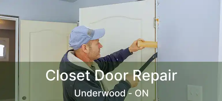  Closet Door Repair Underwood - ON