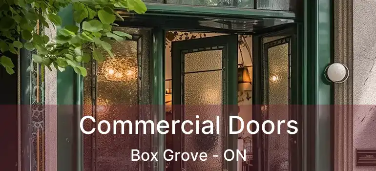  Commercial Doors Box Grove - ON