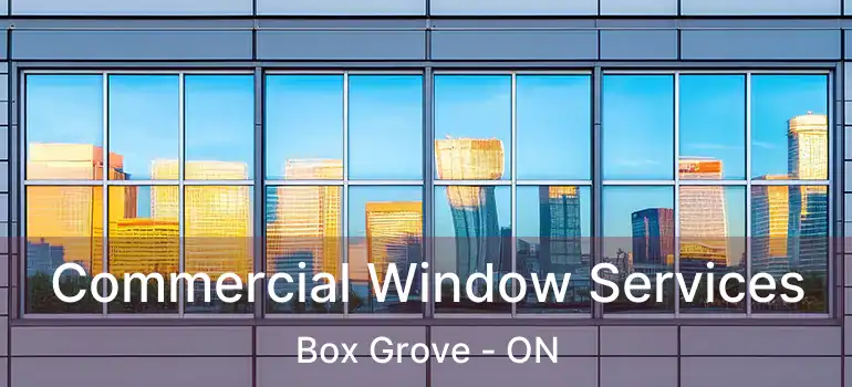  Commercial Window Services Box Grove - ON