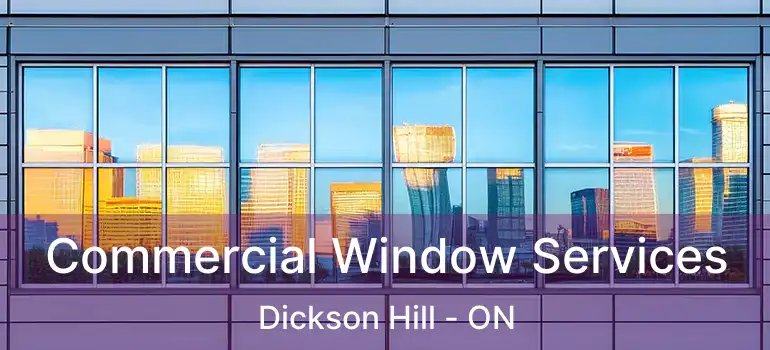  Commercial Window Services Dickson Hill - ON