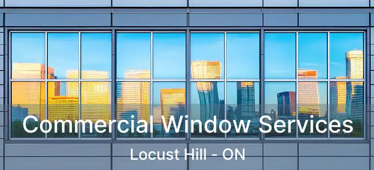  Commercial Window Services Locust Hill - ON
