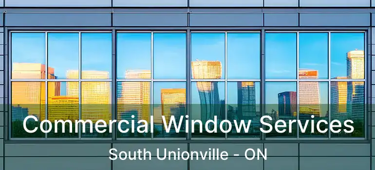  Commercial Window Services South Unionville - ON