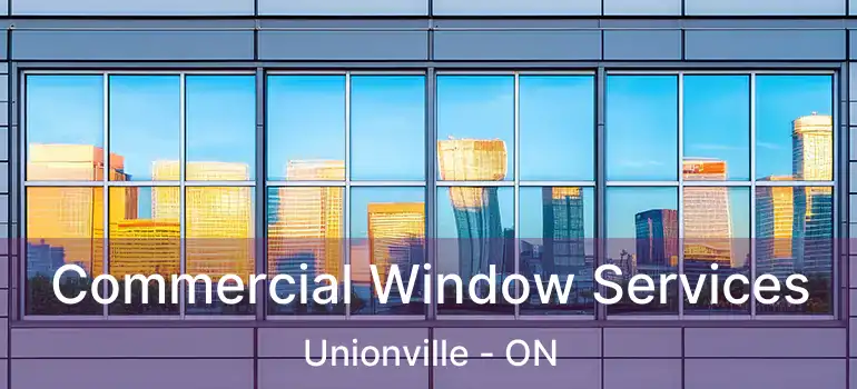  Commercial Window Services Unionville - ON
