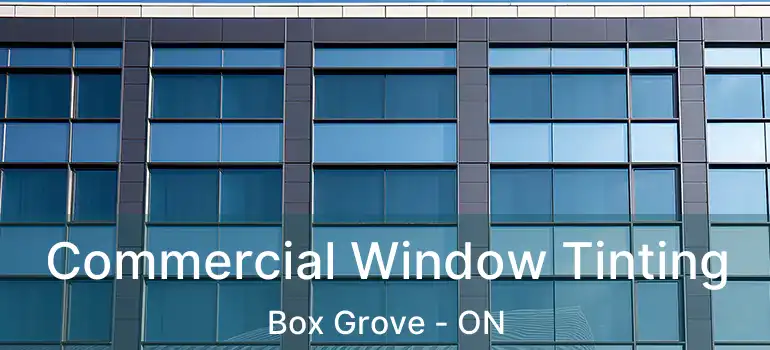 Commercial Window Tinting Box Grove - ON