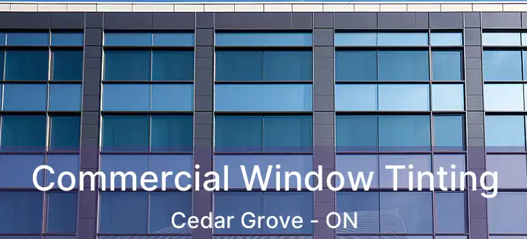  Commercial Window Tinting Cedar Grove - ON