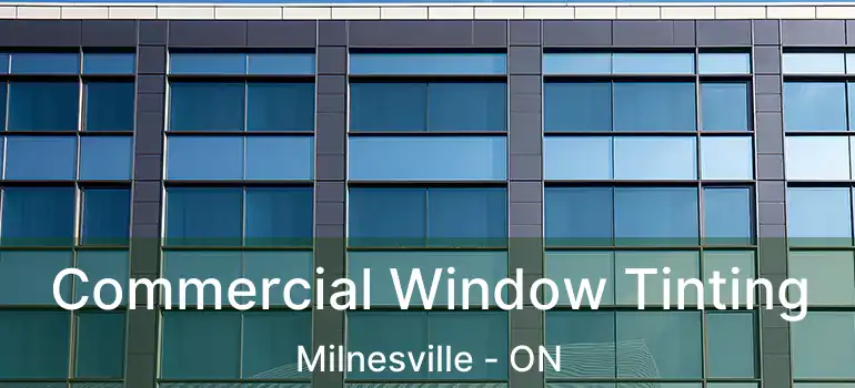  Commercial Window Tinting Milnesville - ON