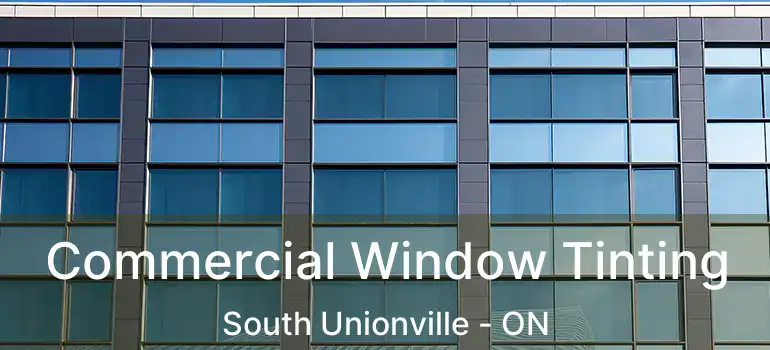  Commercial Window Tinting South Unionville - ON