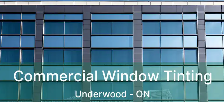  Commercial Window Tinting Underwood - ON