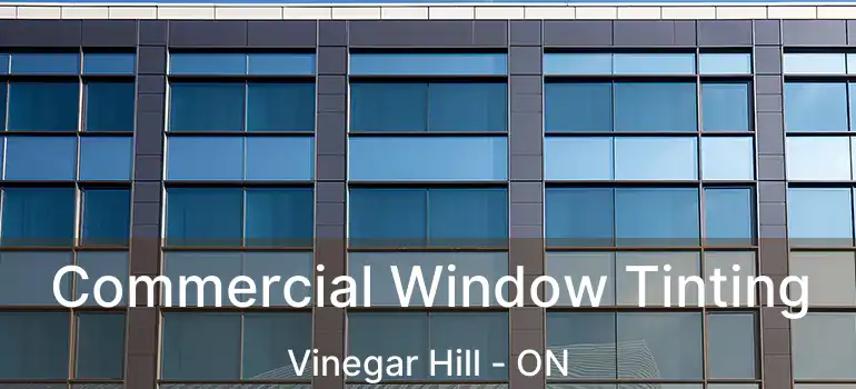  Commercial Window Tinting Vinegar Hill - ON