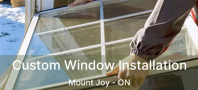  Custom Window Installation Mount Joy - ON
