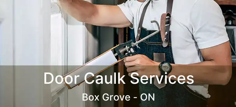  Door Caulk Services Box Grove - ON
