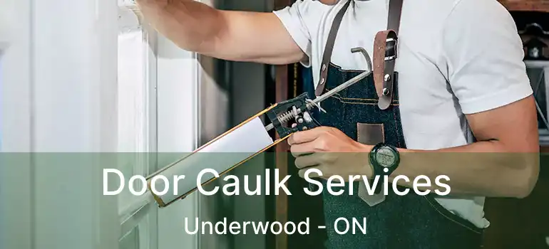  Door Caulk Services Underwood - ON