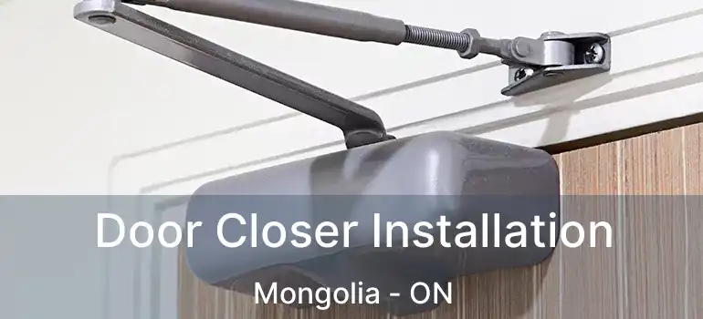  Door Closer Installation Mongolia - ON