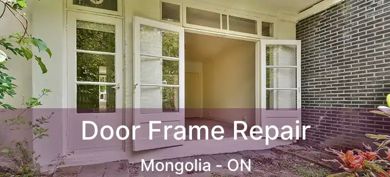  Door Frame Repair Mongolia - ON
