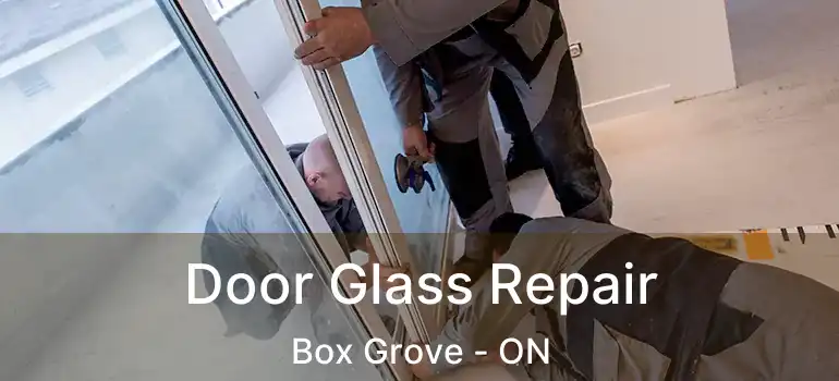  Door Glass Repair Box Grove - ON